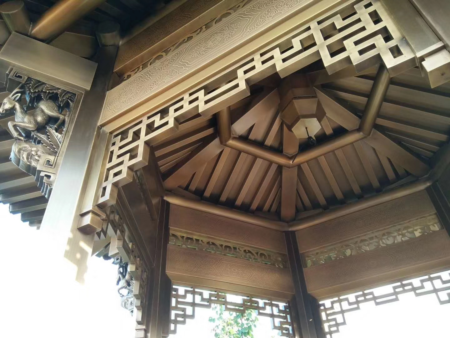 1637808760552430.jpg 1637808760552430.jpg